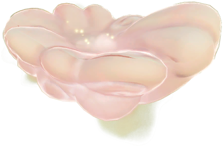 Datei:Mythischer Wolkengleiter.png