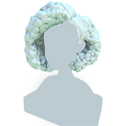 Datei:Lockiger Bob.png