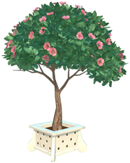 Datei:Blühender Baum im Topf.png