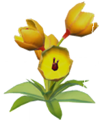 Datei:Gelber Krokus.png