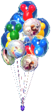 Datei:Luftballons vom Disney Park.png