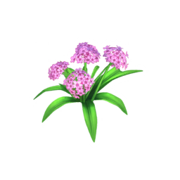 Datei:Rosa Hortensie.png