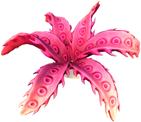 Datei:Kleine Tiefsee-Gorgonie.png