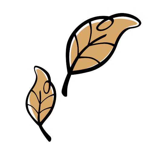 Datei:Pocahontas Motiv 1.png