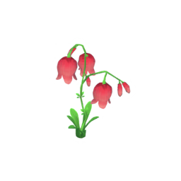 Datei:Rote Glockenblume.png