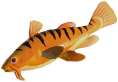 Datei:Tigger-Fisch.png
