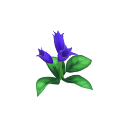 Datei:Violettblühender Bartfaden.png