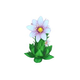 Datei:Rosa Hauswurz.png