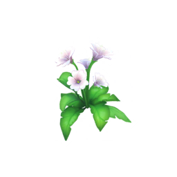 Datei:Weißes Springkraut.png