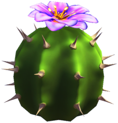 Datei:Lila Kaktusblüte.png