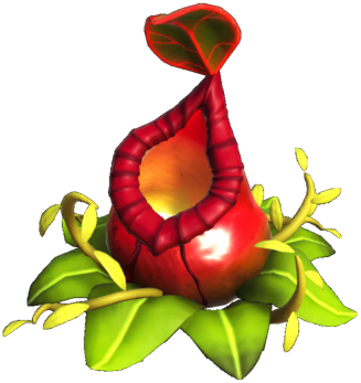 Datei:Rote Kannenpflanze.png