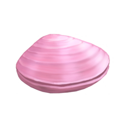 Datei:Muschel.png