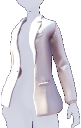 Datei:Schlichter Blazer.png