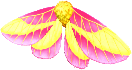 Datei:Rosa Ahornmotten-Flügel.png