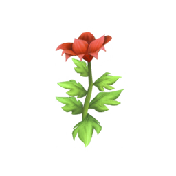 Datei:Rote Passionslilie.png