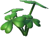 Datei:Dreiblättriges Kleeblatt.png