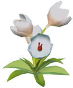 Datei:Weißer Krokus.png