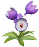 Datei:Lila Krokus.png