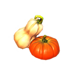 Kleine Sammlung an Kürbissen