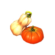 Kleine Sammlung an Kürbissen