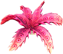 Kleine Tiefsee-Gorgonie