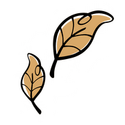 "Herrschaftlicher Winter"-Sternenpfad