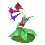 Riesige Pfeifenblumen