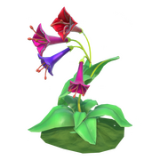 Riesige Pfeifenblumen