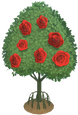 Pikbaum mit roten Rosen