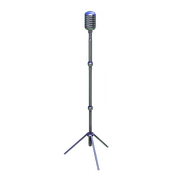 Verzaubertes Mikrofon