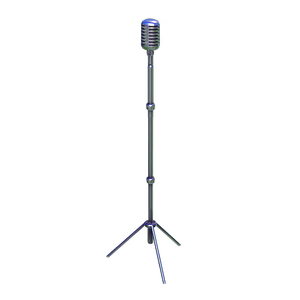 Verzaubertes Mikrofon