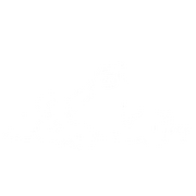 "Wunder von Pixar"-Sternenpfad