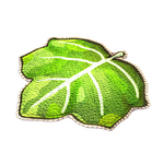 Grünes Kürbisblatt als Teppich