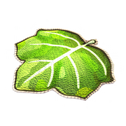 Grünes Kürbisblatt als Teppich