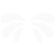 "Rückzug in die Oase"-Sternenpfad