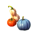 Mittelgroße Sammlung an Kürbissen